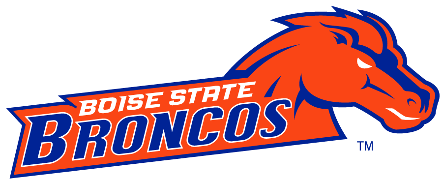Boise State Broncos 2002-2012 Secondary Logo v12 DIY iron on transfer (heat transfer)